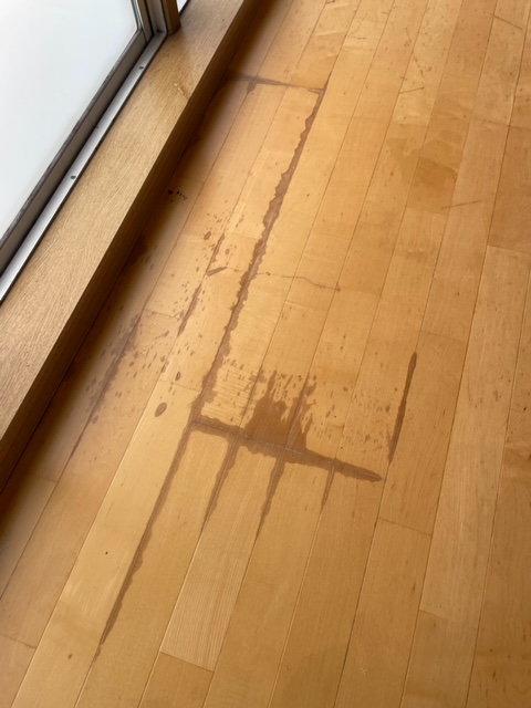 フローリング染みリペアの画像(施工前)