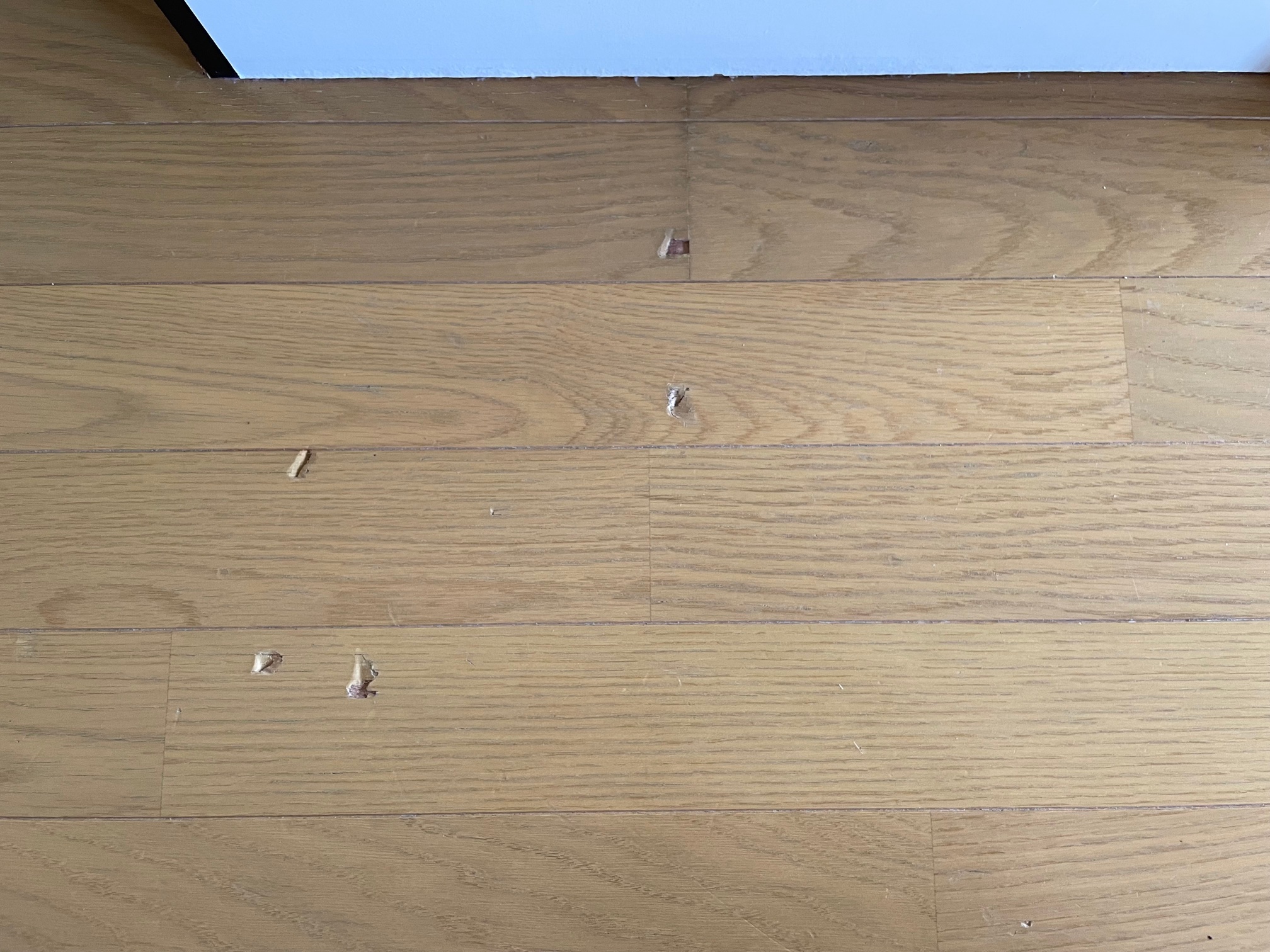 フローリング傷リペアの画像(施工前)